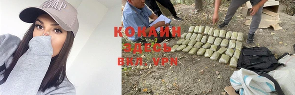 mdpv Сафоново