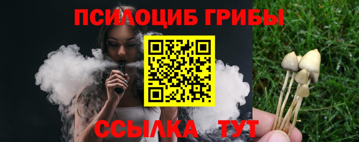 Псилоцибиновые грибы Psilocybe  Вход с VPN  Псилоцибиновые грибы Magic Shrooms  Амурск 